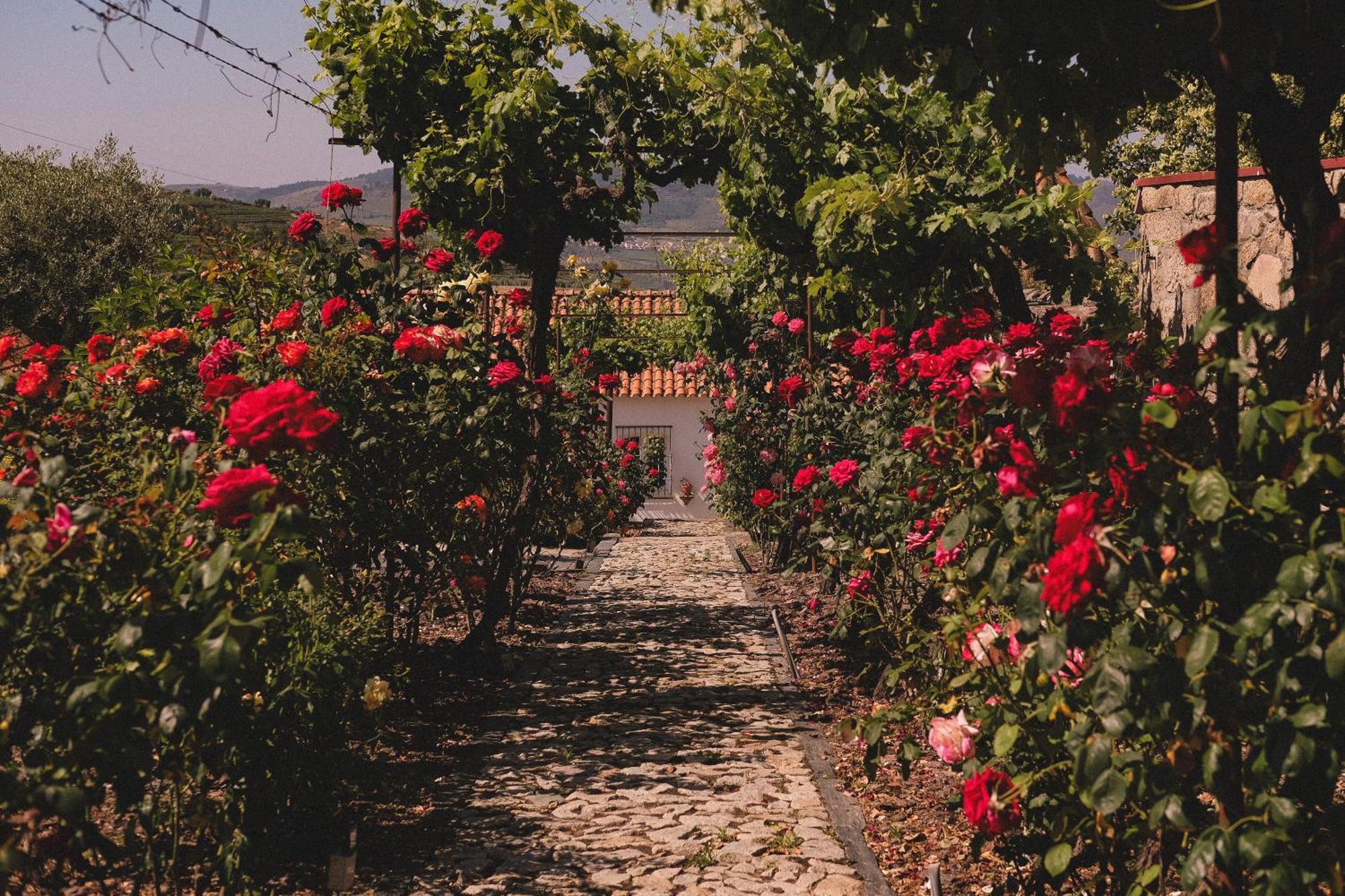 Casal De Tralhariz - Turismo De Habitacao Otel Dış mekan fotoğraf