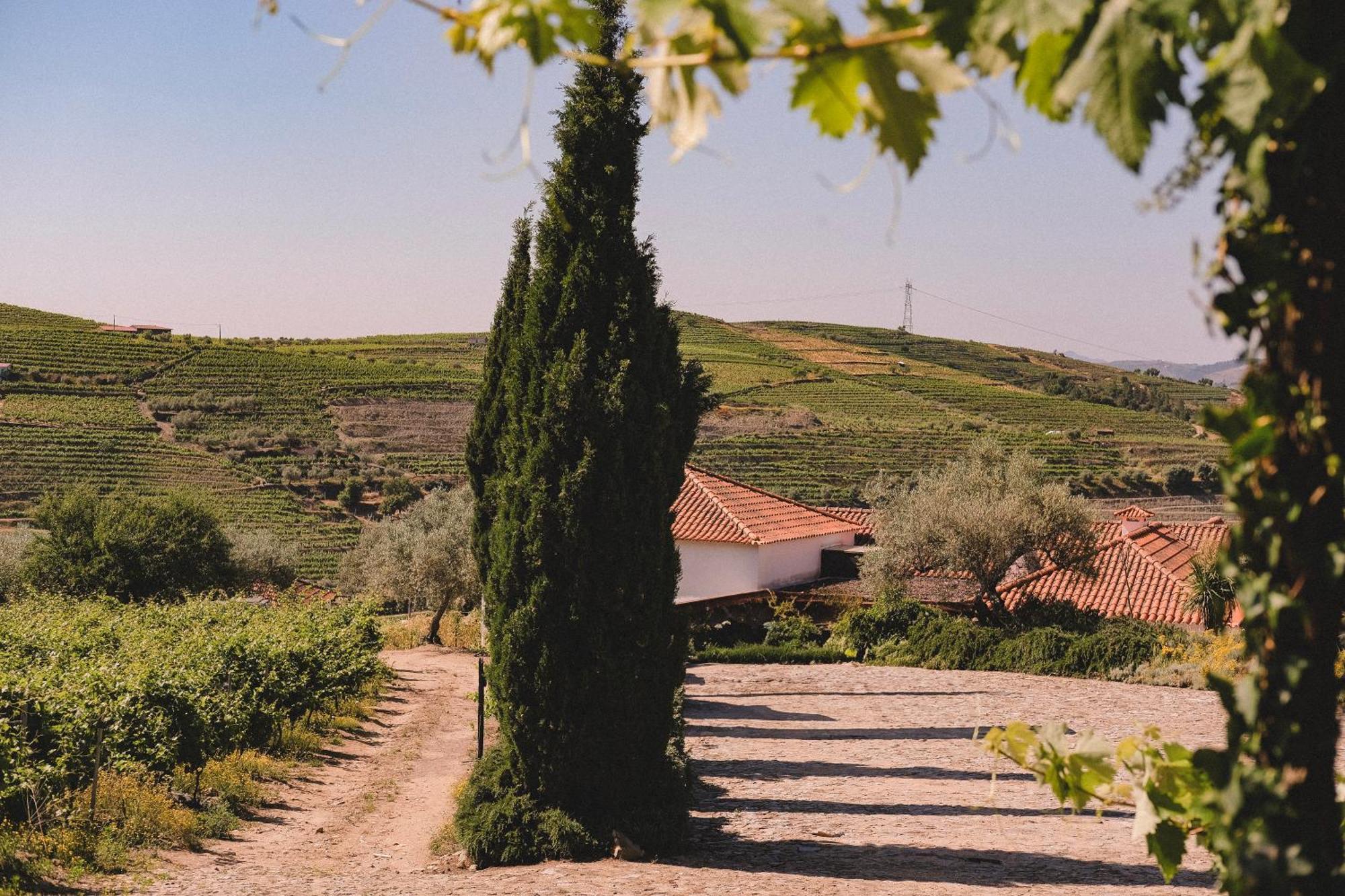 Casal De Tralhariz - Turismo De Habitacao Otel Dış mekan fotoğraf