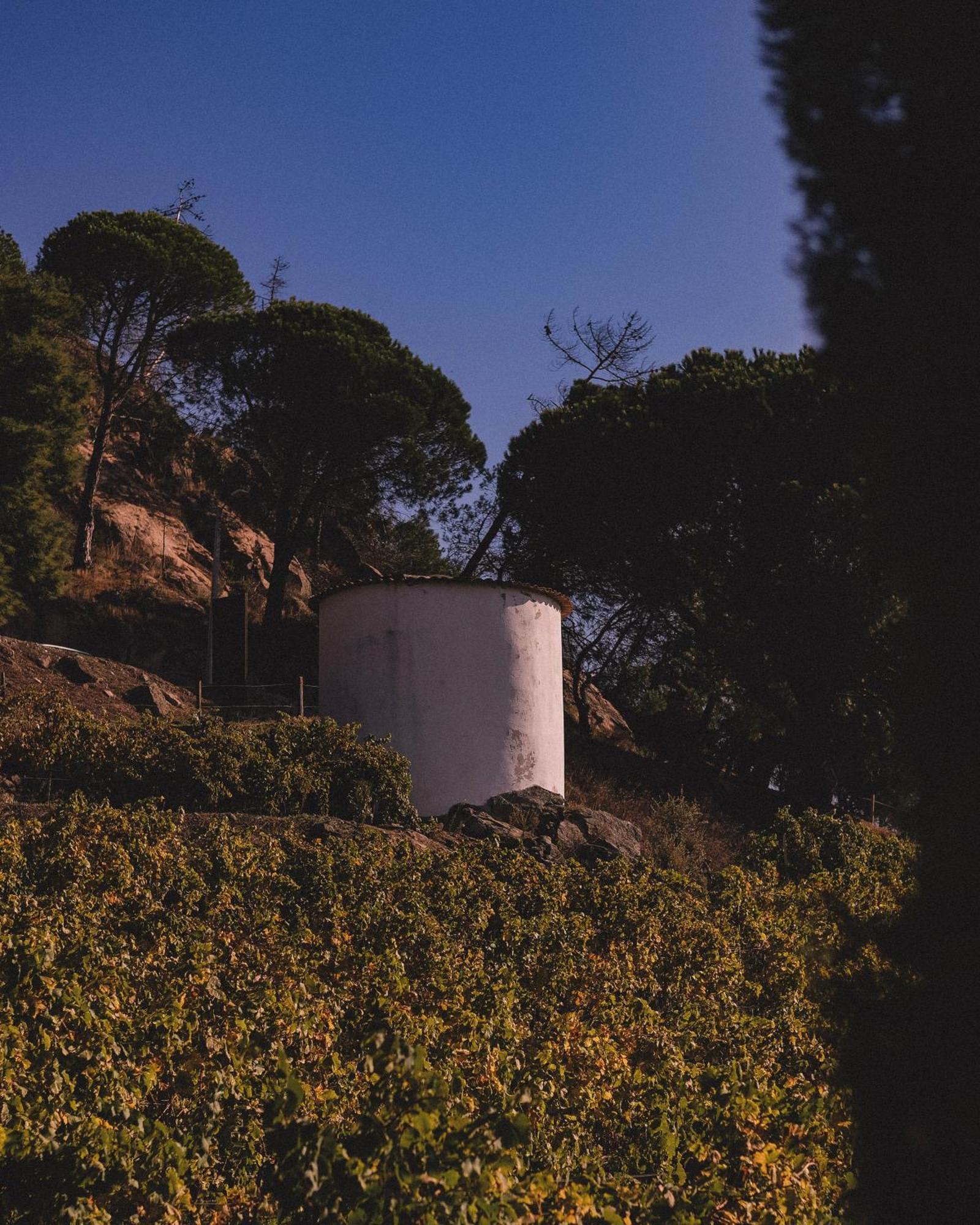Casal De Tralhariz - Turismo De Habitacao Otel Dış mekan fotoğraf
